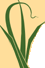 California Legacy Project