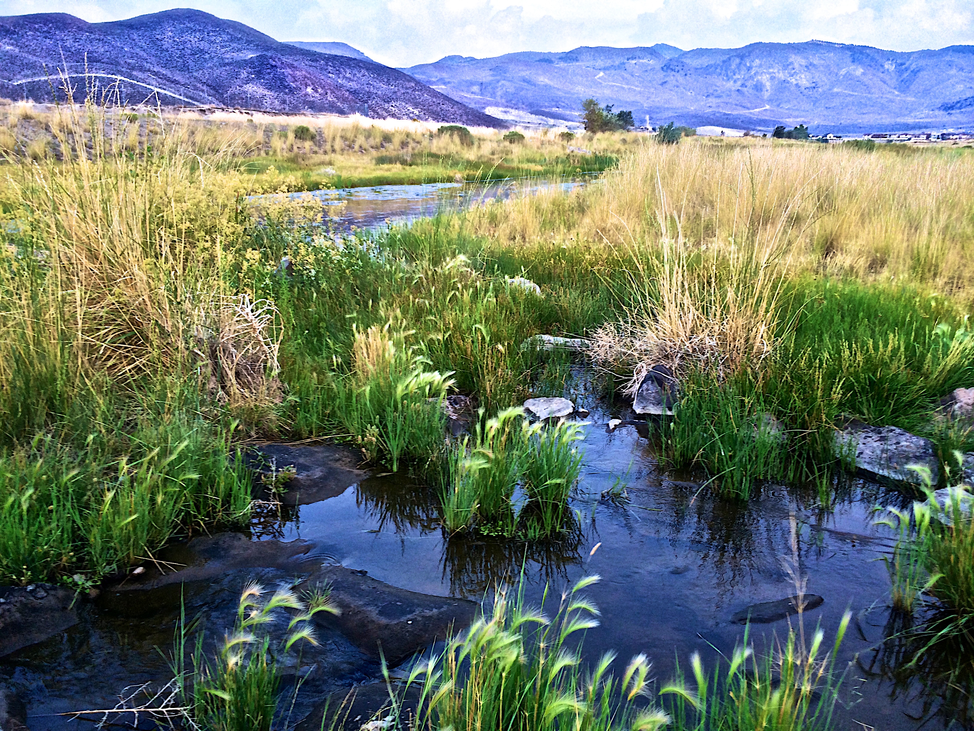 After the Storm - Steamboat Creek
