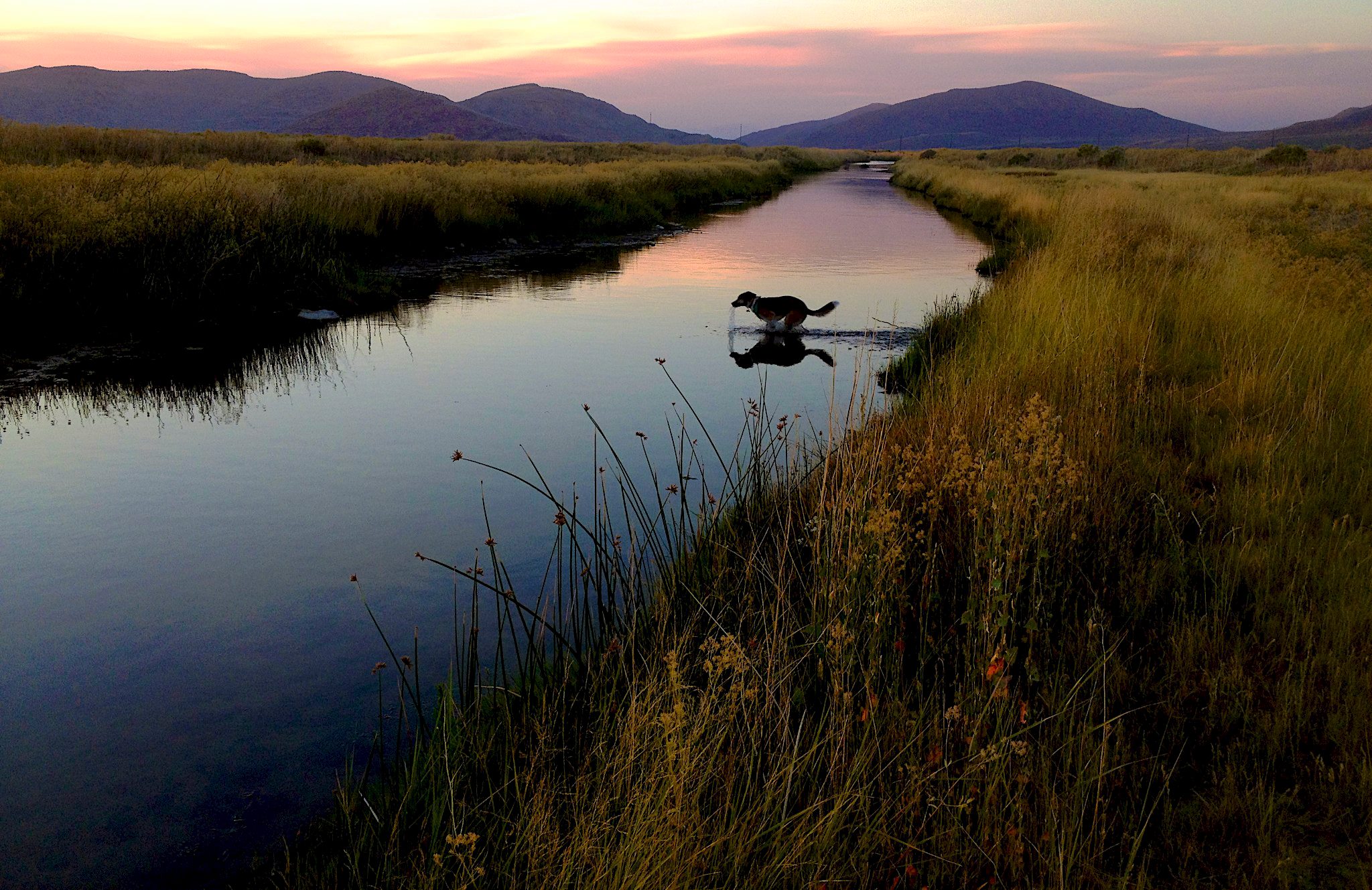 Brooks Steamboat Sunset.jpg