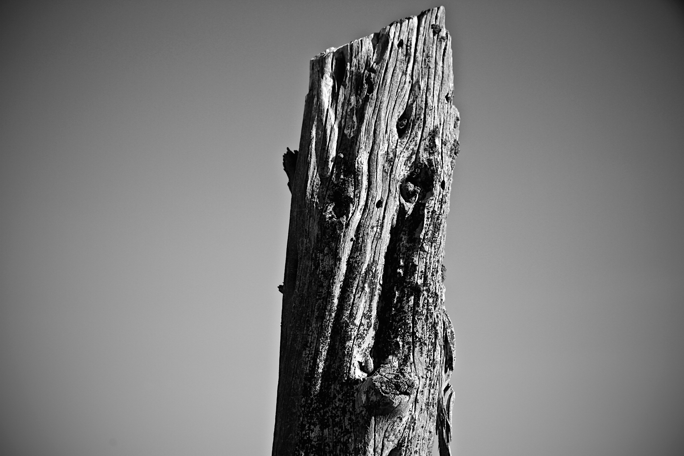 Fence Post - Double Diamond Ranch