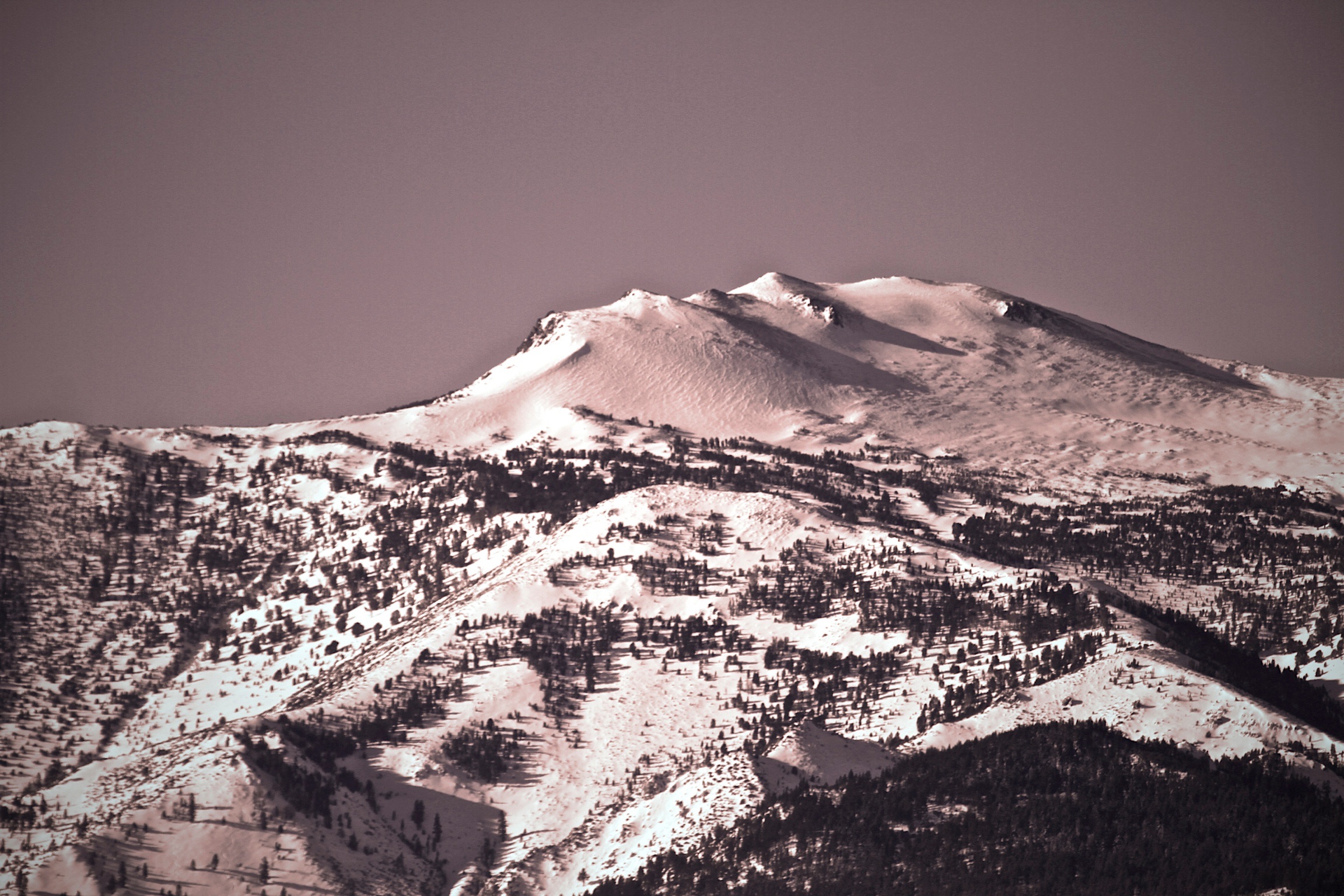 Mt. Rose In Snow 