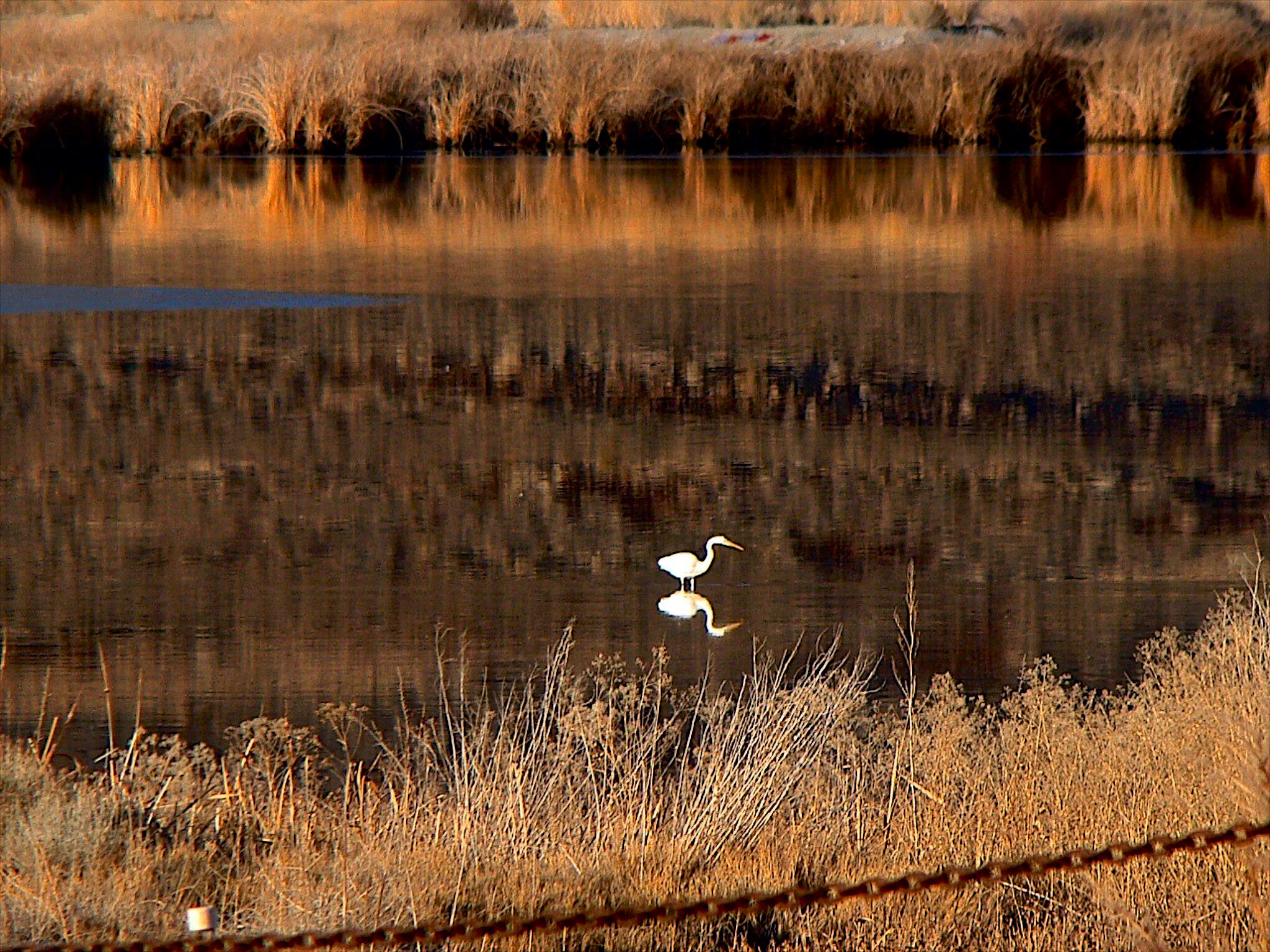 Reflection