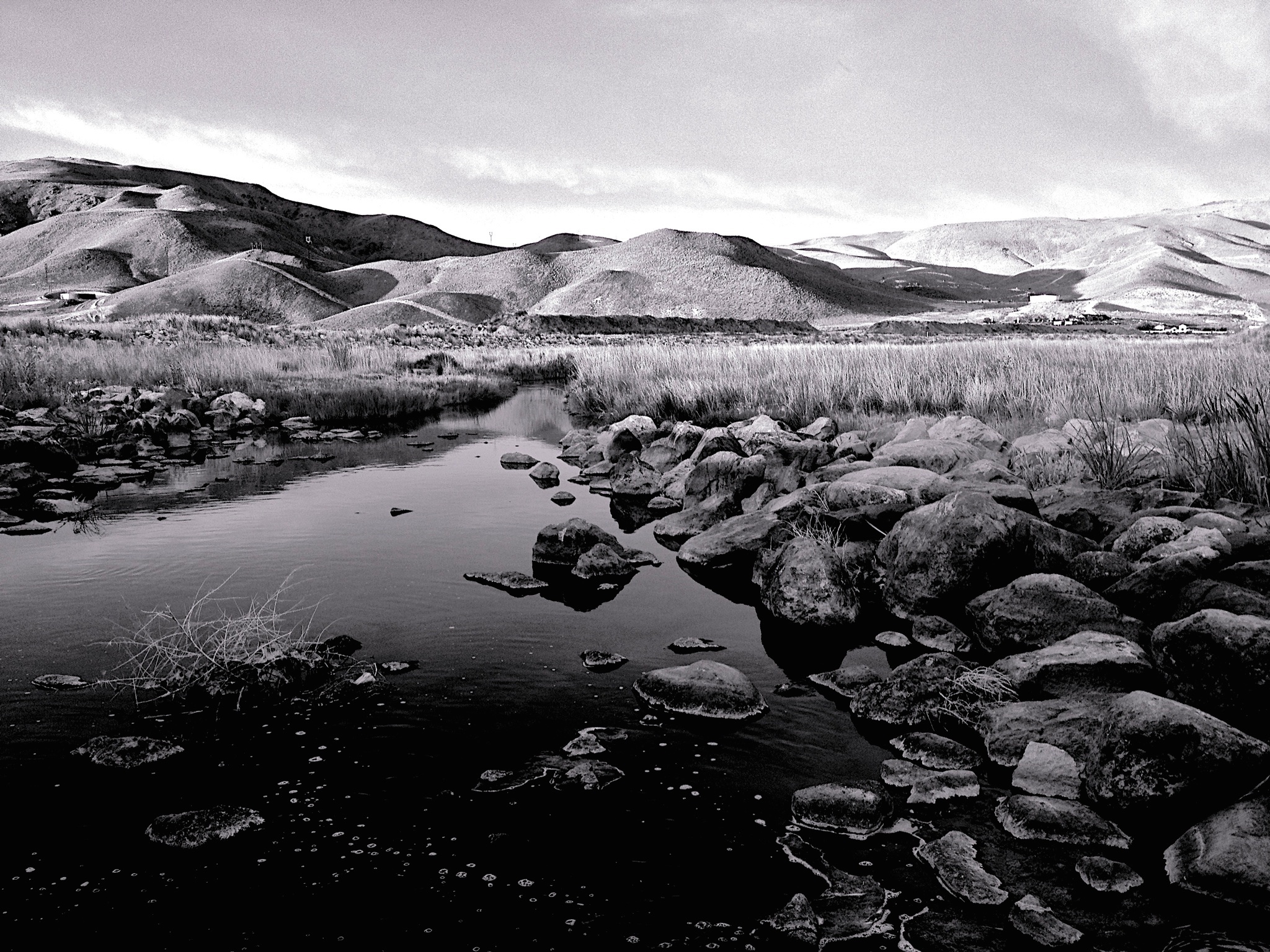 Steamboat Creek bw