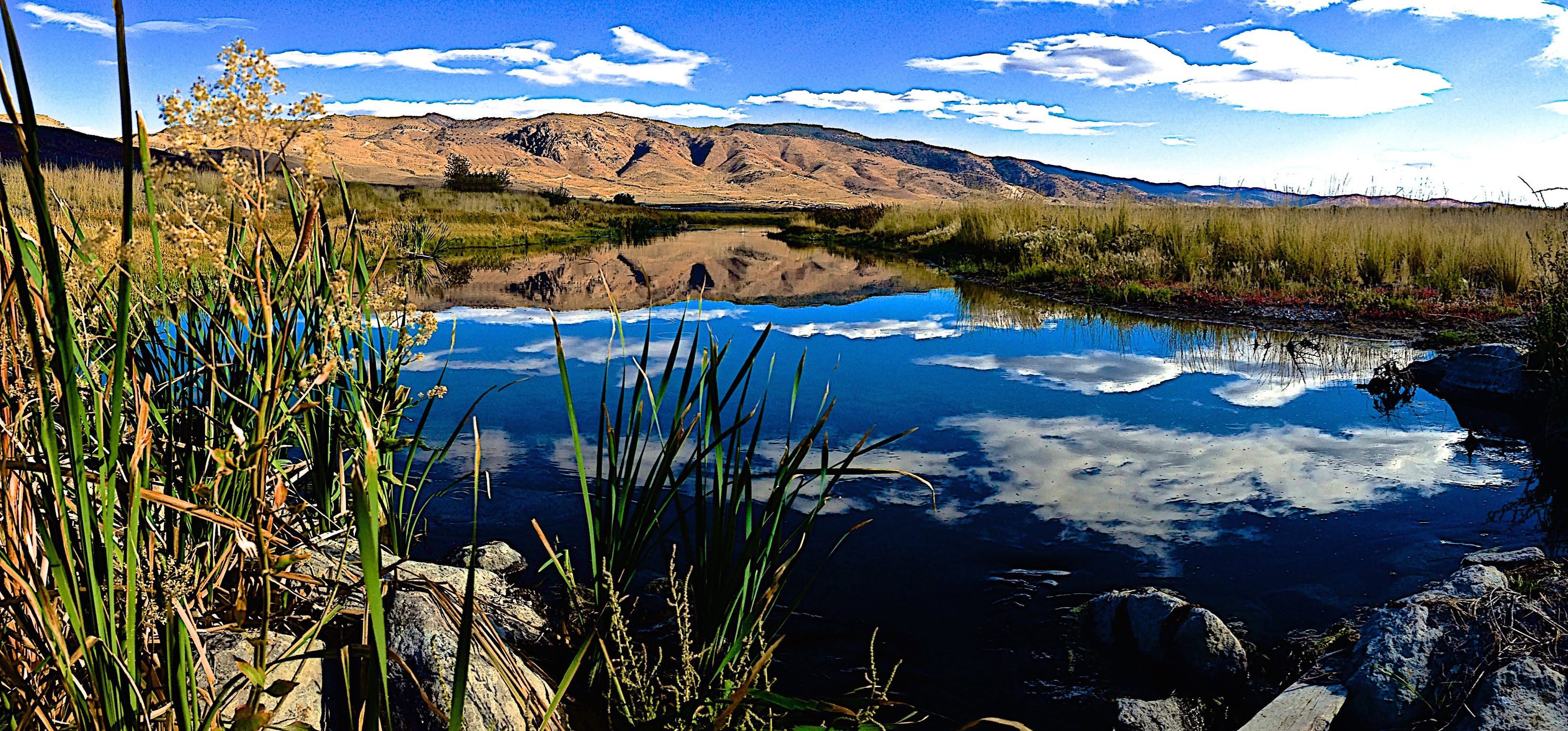 Steamboat Wetlands