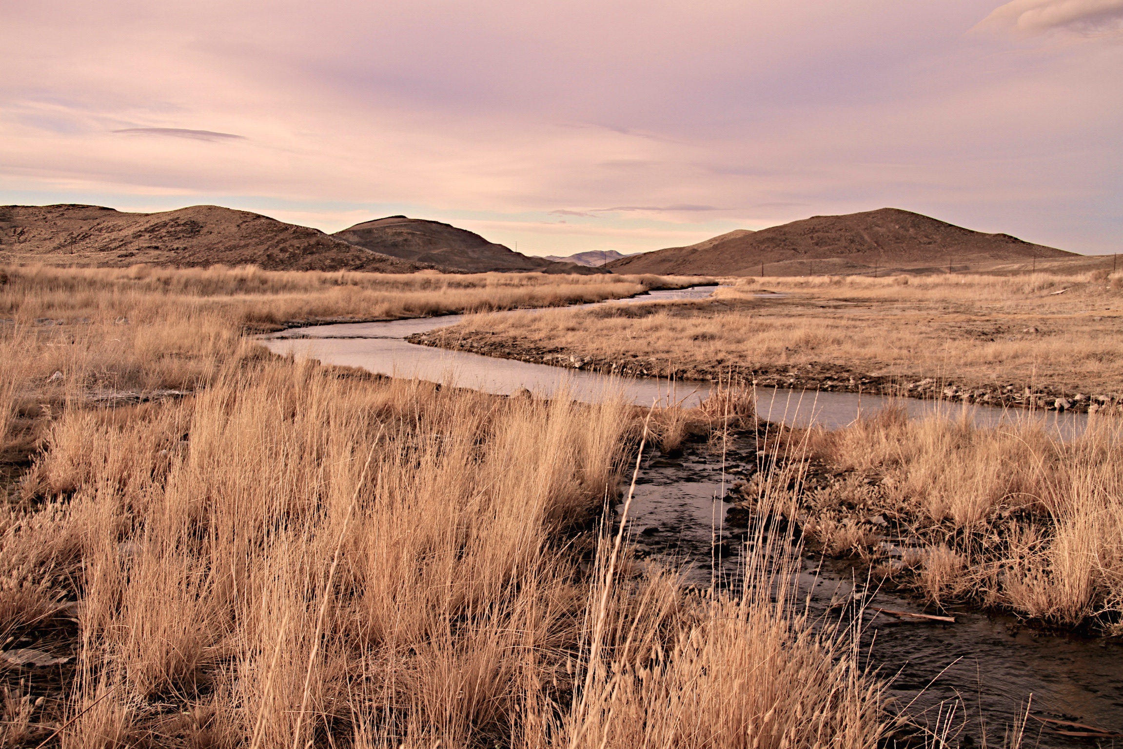 Wetlands