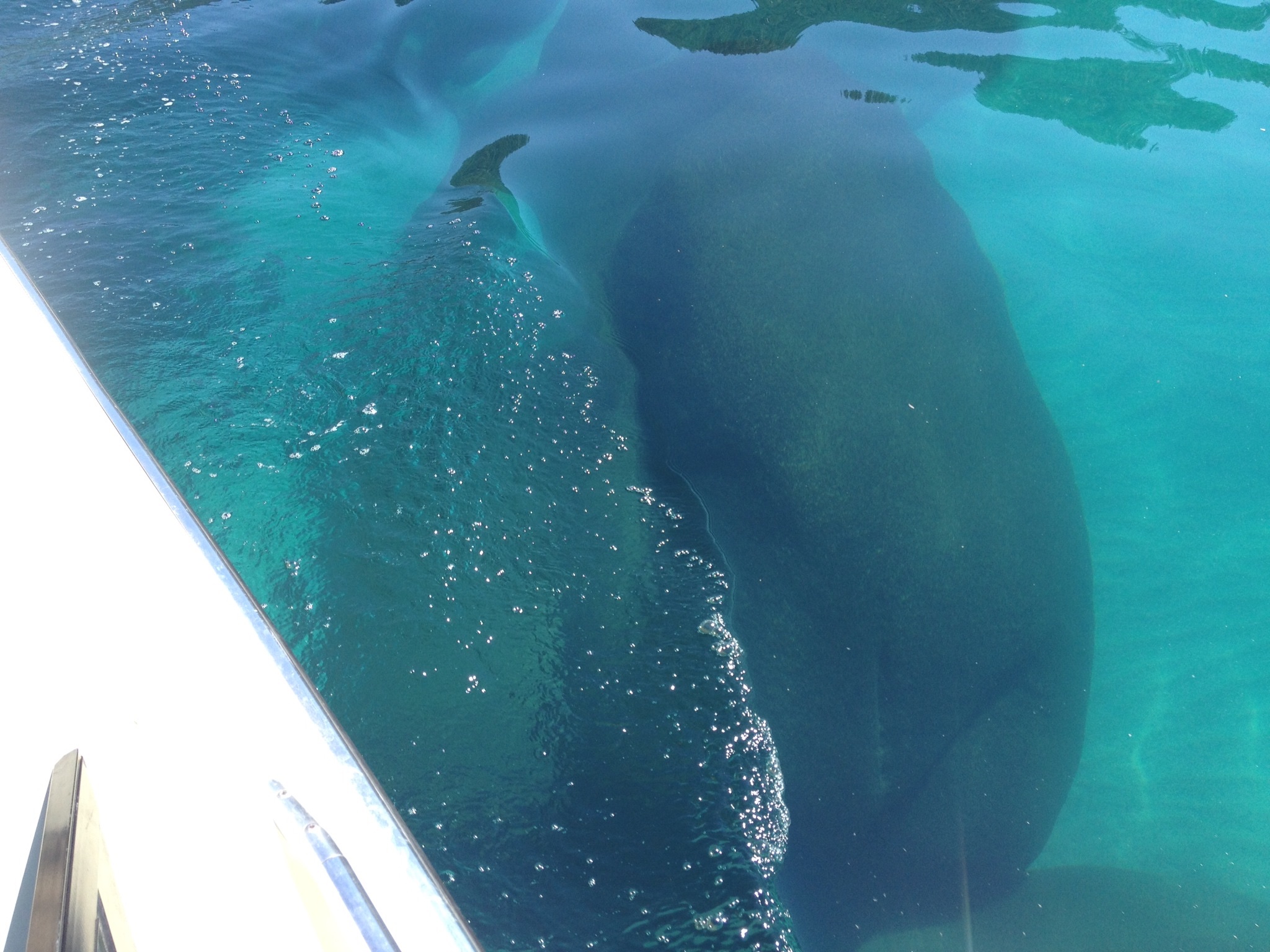 Whale Beach, Tahoe